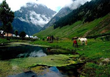 Kashmir 3 Nights and 4 Days Tour