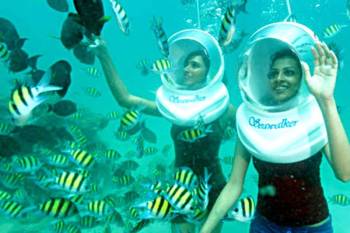 Havelock Tour Packages