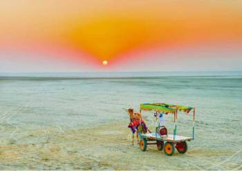 Bhuj - Kutch 2 Nights 3 Days Package