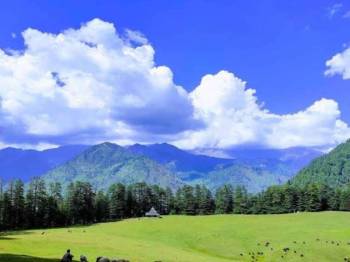 3 nights 4 days Delhi to Shaita Dhar Valley