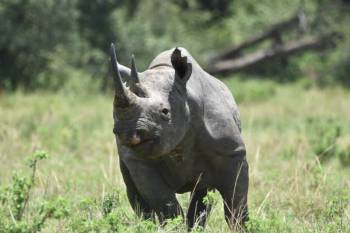 Arusha Tour Packages