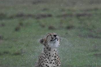 Ngorongoro Tour Packages