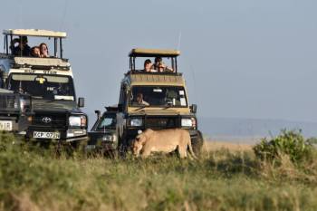 Manyara Tour Packages