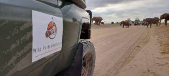 Masai Mara Tour Packages