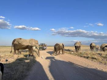 Narok Tour Packages