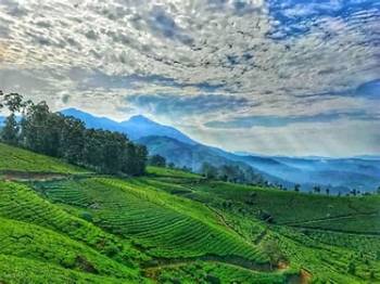 Munnar Thekkady Alappuzha Kovalam Tour