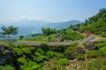 Munnar Thekkady Alappuzha Kovalam Tour