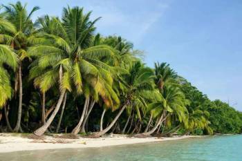 South Andaman Tour Packages