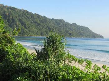 South Andaman Tour Packages