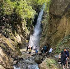 Palampur Tour Packages