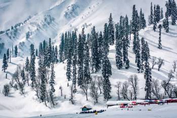 3 Nights and 4 Days Kashmir Tour