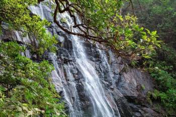 3 Night 4 Day Pachmarhi Madhya Pradesh Tour