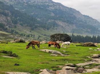 The Pristine Kashmir 4N5D