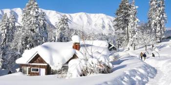 Valley Of Flowers 4 Nights - 5 Days Tour