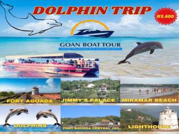 One Day Goa - Dolphin Trip