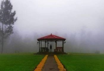 4 Days - 3 Nights Ooty Packages