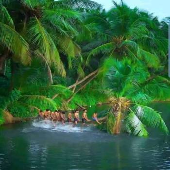 Thekkady Tour Packages