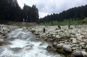 Kashmir Tulip Garden Best Time Tio Visit