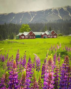 5 Nights 6 Day Kashmir Tour Package
