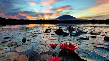 Bandipora Tour Packages
