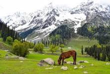 7 Days / 6 Nights Kashmir Tour