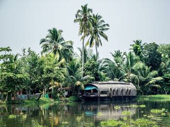 4 Day Thekkady - Alleppey Tour