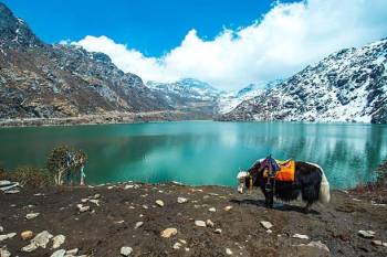 4 Night Gangtok - Darjeeling Tour From Siliguri