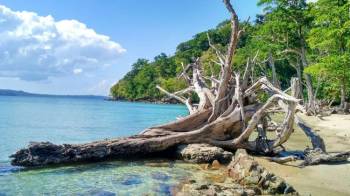 4 Days Port Blair - Baratang Island - Chidyatapu Tapu Tour