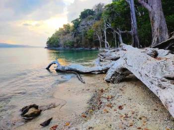 3 Nights Port Blair - Ross Island - Wandoor Beach Tour