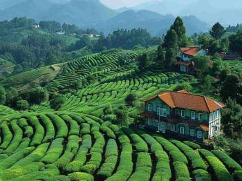 3 Nights Bangalore - Ooty Tour Package