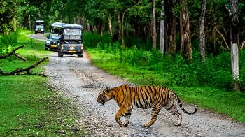 5 Nights Coorg - Kabini Tour Package
