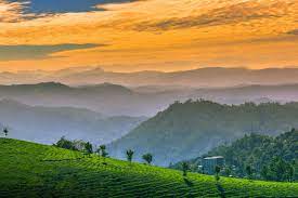 4D 3N Munnar Tour