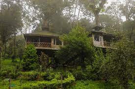 6D 5N Munnar Thekkady Alappuzha Kovalam Tour