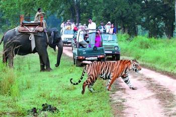 7 Nights Jim Corbett - Binsar - Delhi Tour