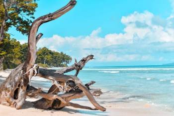 3 Night - 4 Days Andaman Tour With Elephant Beach