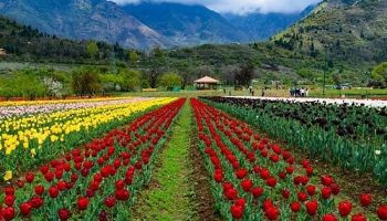 4N - 5D Kashmir Tour Package