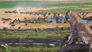 3 Days Tanzania Adventure Safaris Tour