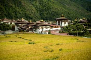 Wangdue Phodrang Tour Packages