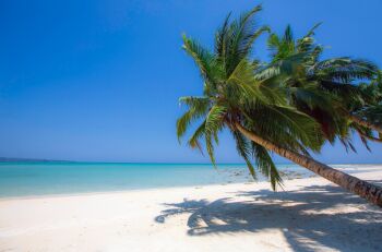 2 Night 3 Days Andaman Tour Package