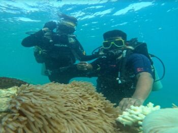 7N - 8D Andaman Hoping To Parrot Island Package