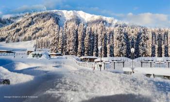 Kashmir Valley Luxury Tour 6 Days