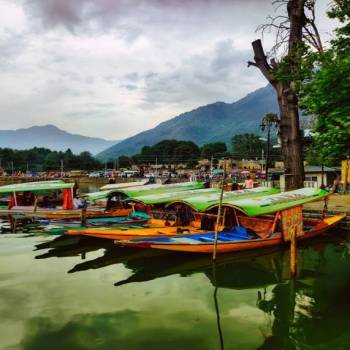 Kashmir Tour Package For 3 Nights 4 Days