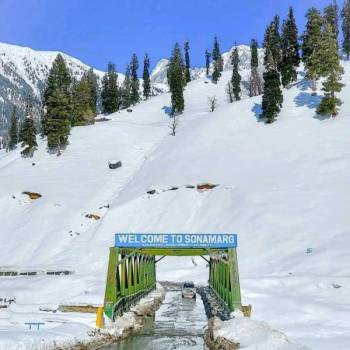 Deluxe Kashmir Tour Package For 4 Nights 5 Days