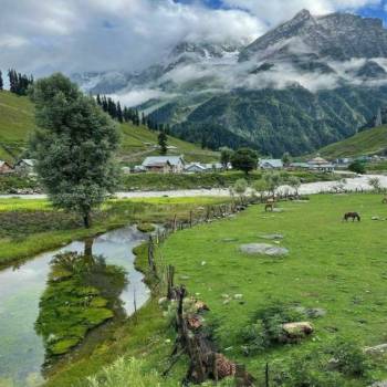 Deluxe Kashmir Tour Package For 4 Nights 5 Days