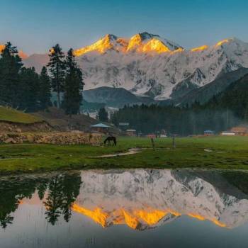 Deluxe Kashmir Tour Package For 4 Nights 5 Days