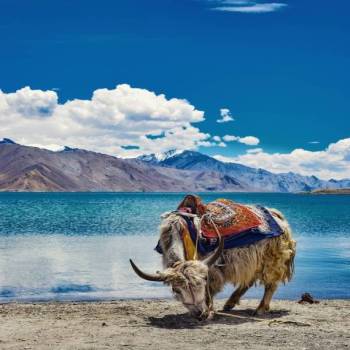 5N 6D Leh Ladakh Discovery Package