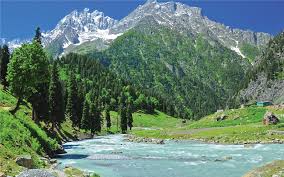 7 Nights 8 Days Kashmir Tour