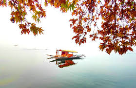 2 Nights 3 Days Kashmir Tour