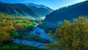 4 Nights 5 days Kashmir Tour