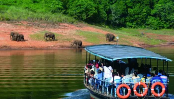 Thekkady Tour Packages